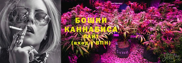 дживик Белокуриха