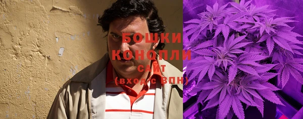 дживик Белокуриха