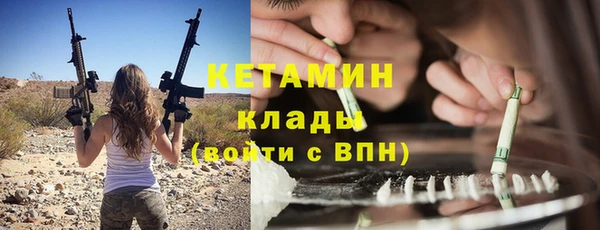 хмурый Тавда