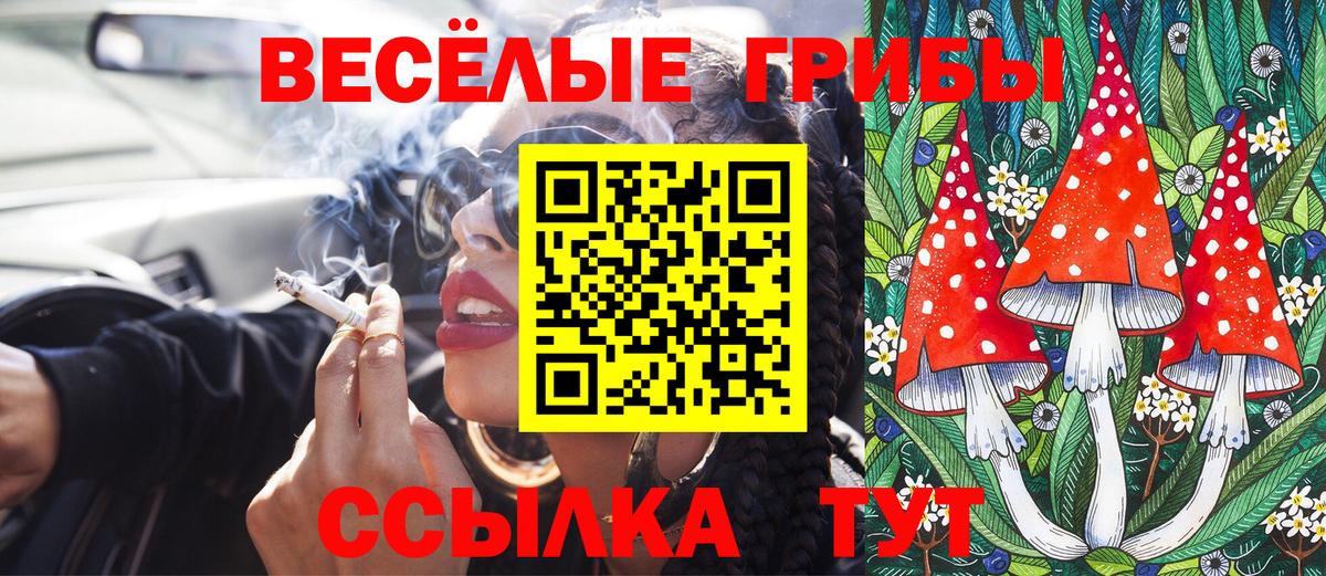 Псилоцибиновые грибы Psilocybine cubensis  Псилоцибиновые грибы MAGIC MUSHROOMS  купить наркотик  Вязники  Вход с VPN 